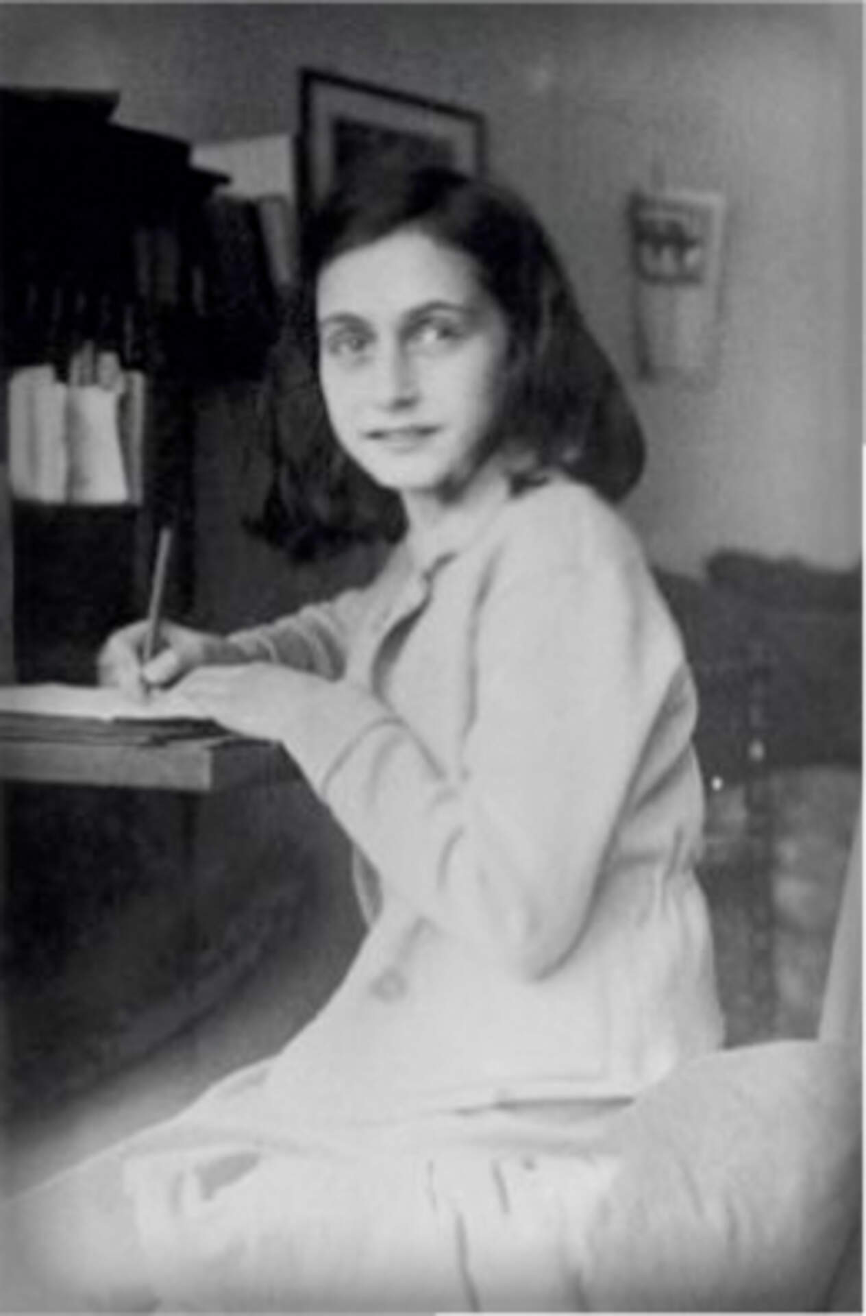 Anne Frank: A History for Today