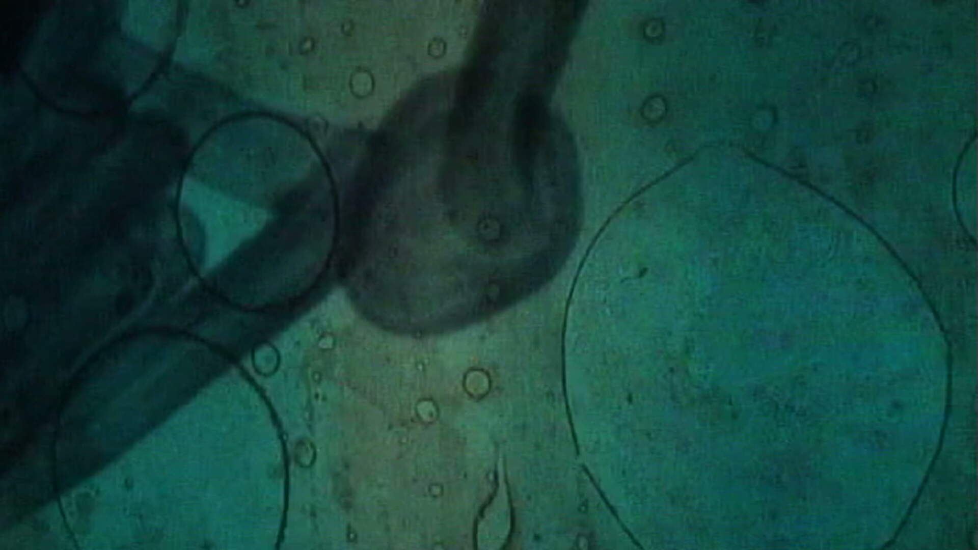 Silent/Sound Film Festival featuring a Live Performance of <em>In C</em>
