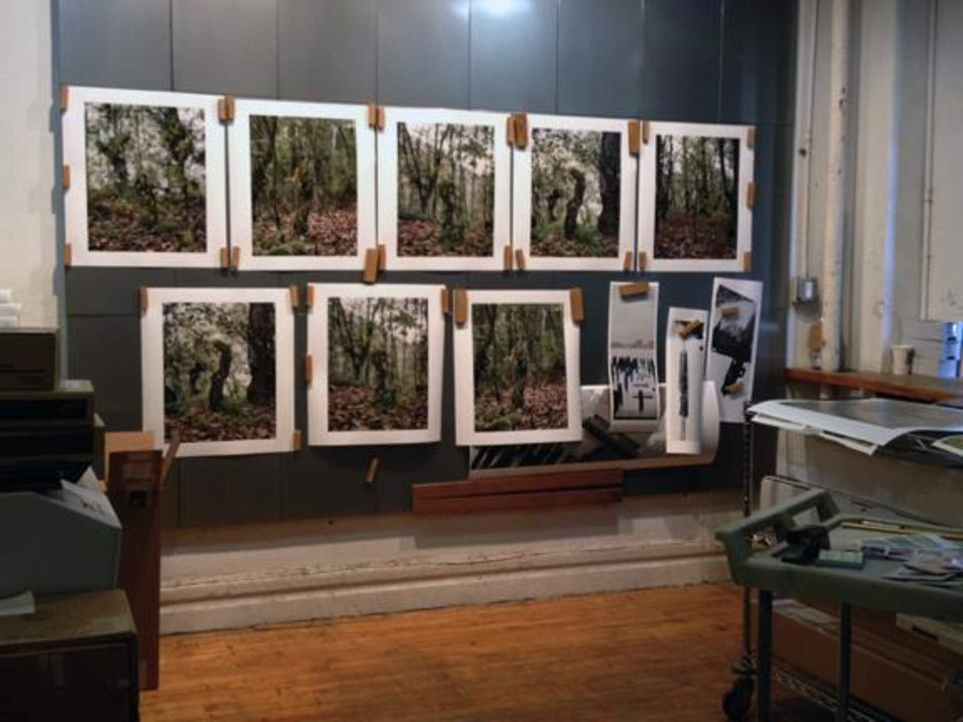 From the Catskill Mountains: BPAC Artist-in-Residence Entry May 23, 2013