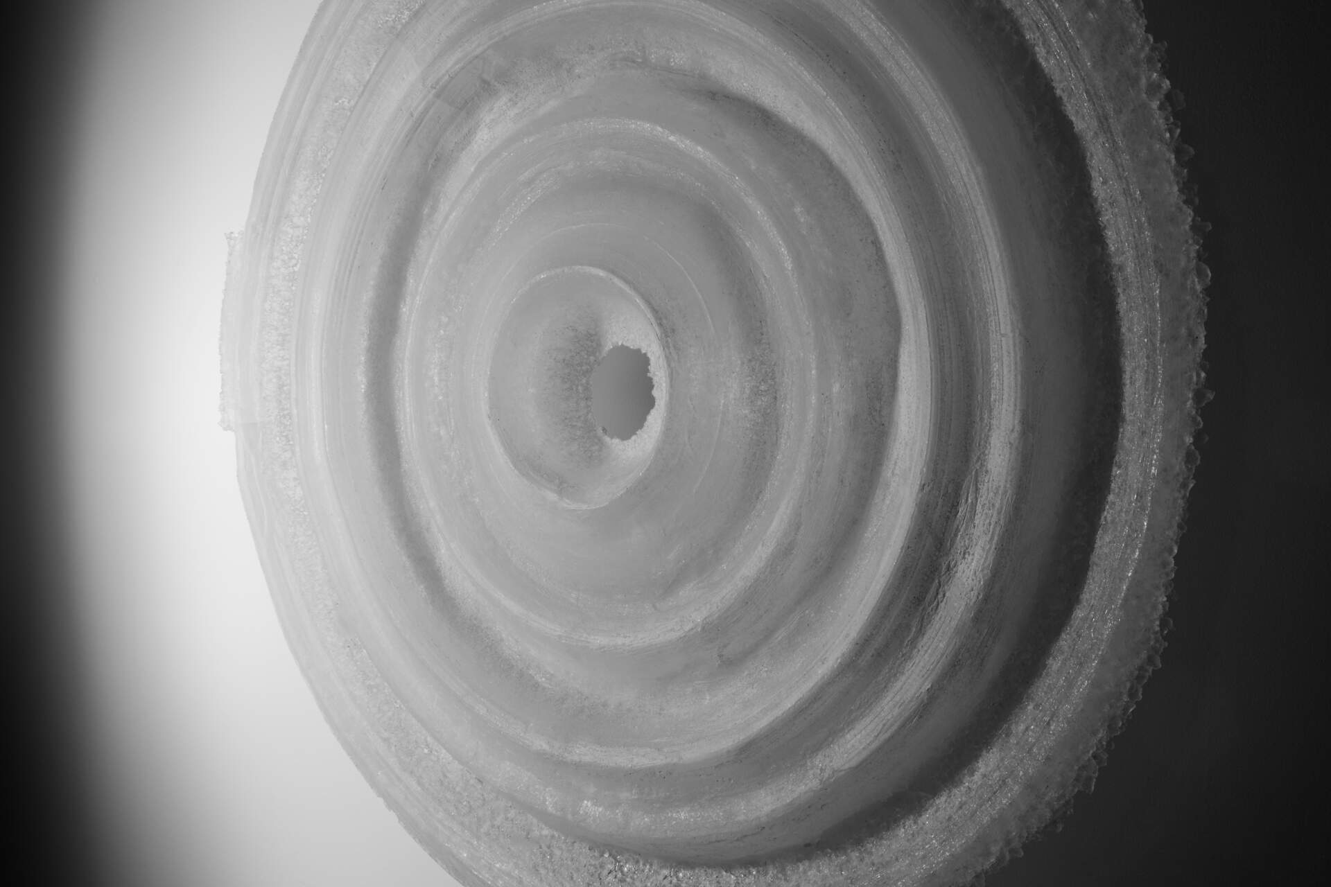 Essentia: Karen Donnellan