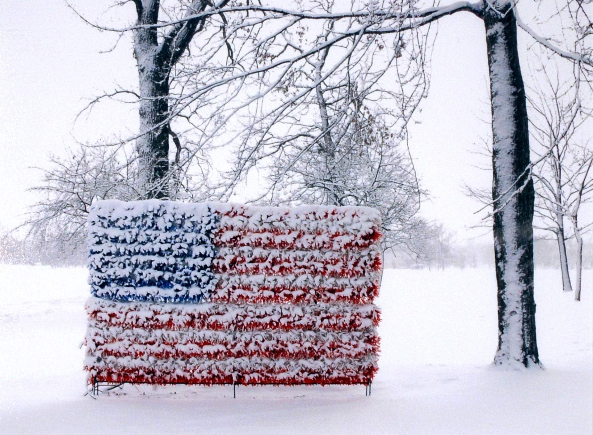 Flag in Snow, Delaware Park, Buffalo, NY