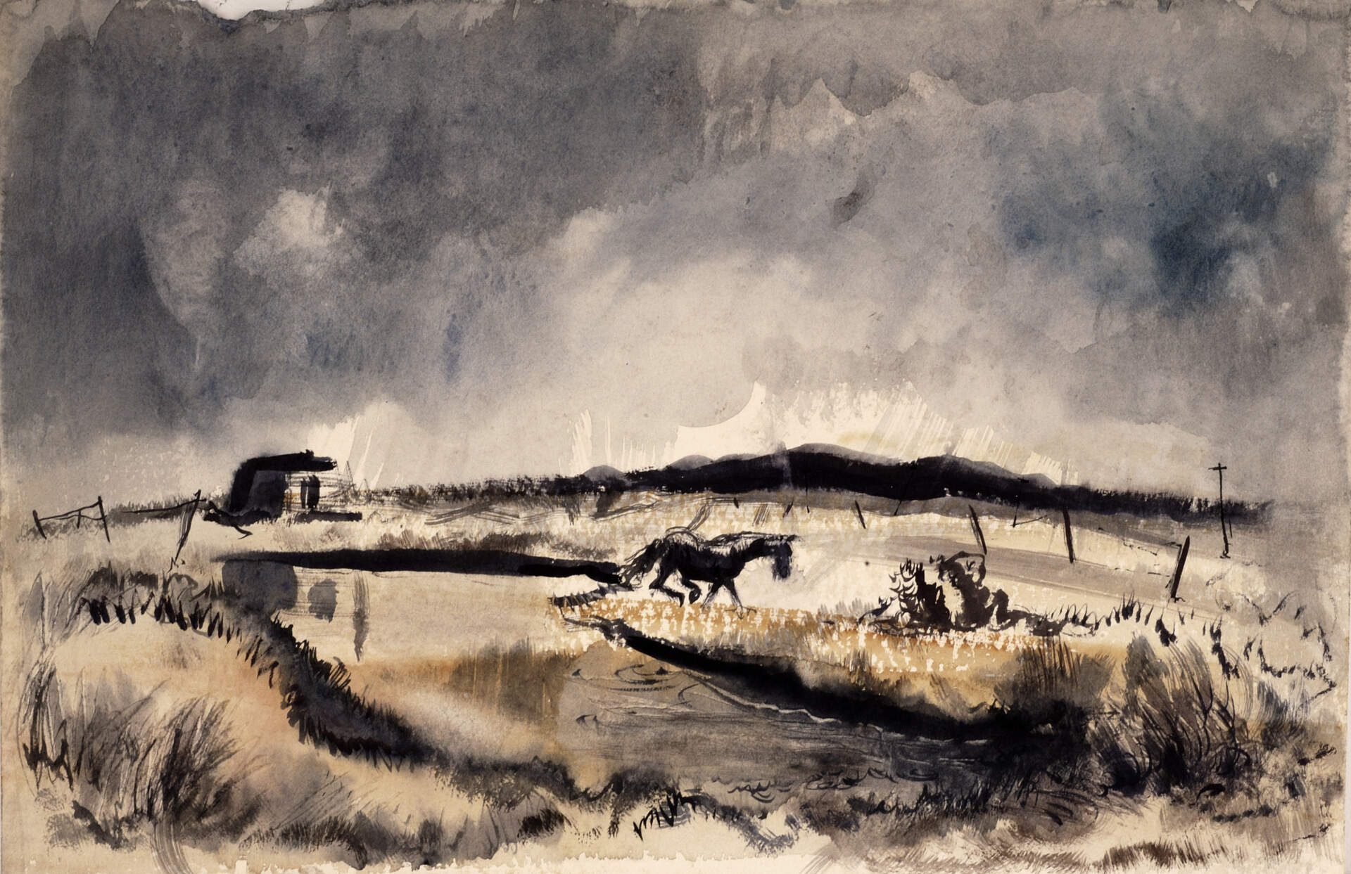Buffalo Night in The Museum Store