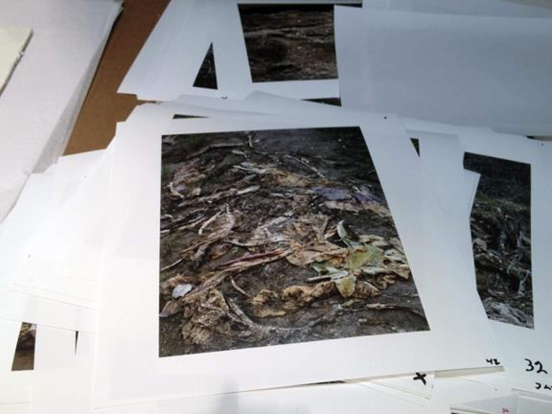 Janelle Lynch, BPAC Artist-in-Residence: From the Catskill Mountains, Entry May 18, 2013