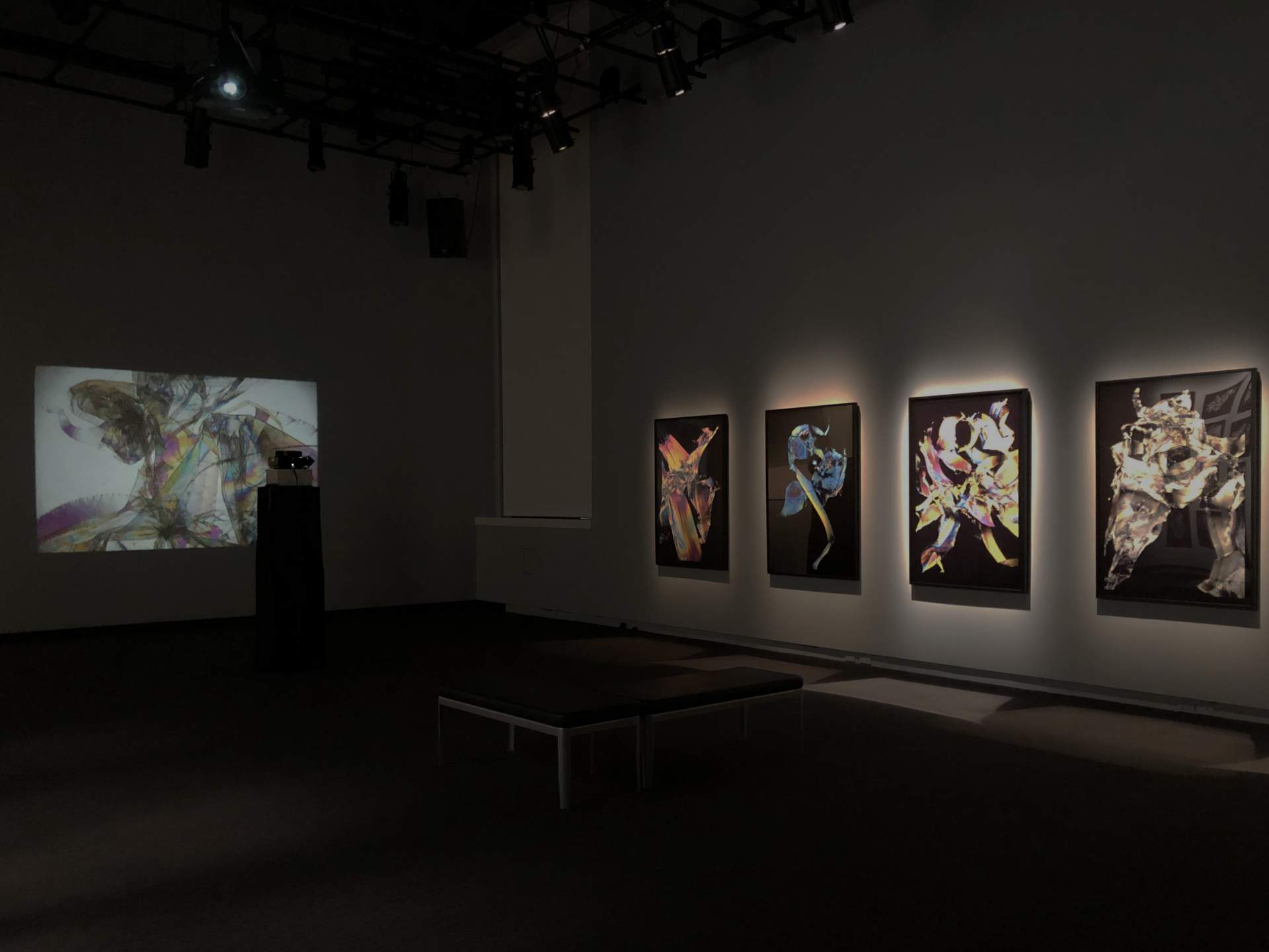 [Photograph of the exhibition "Victor Shanchuk, Chemical Light"]