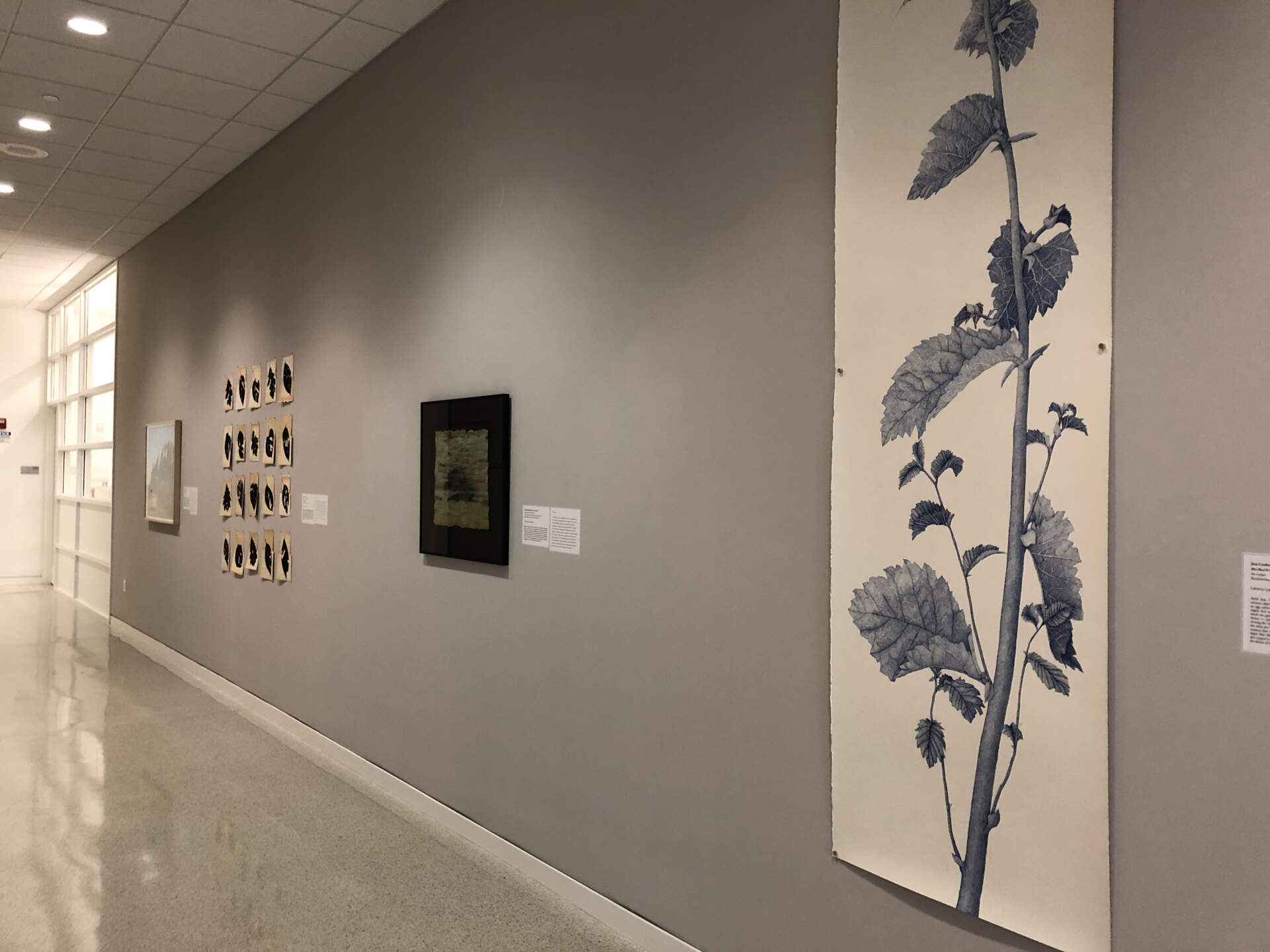 Taking a Stand: Issues Addressed by Women Artists