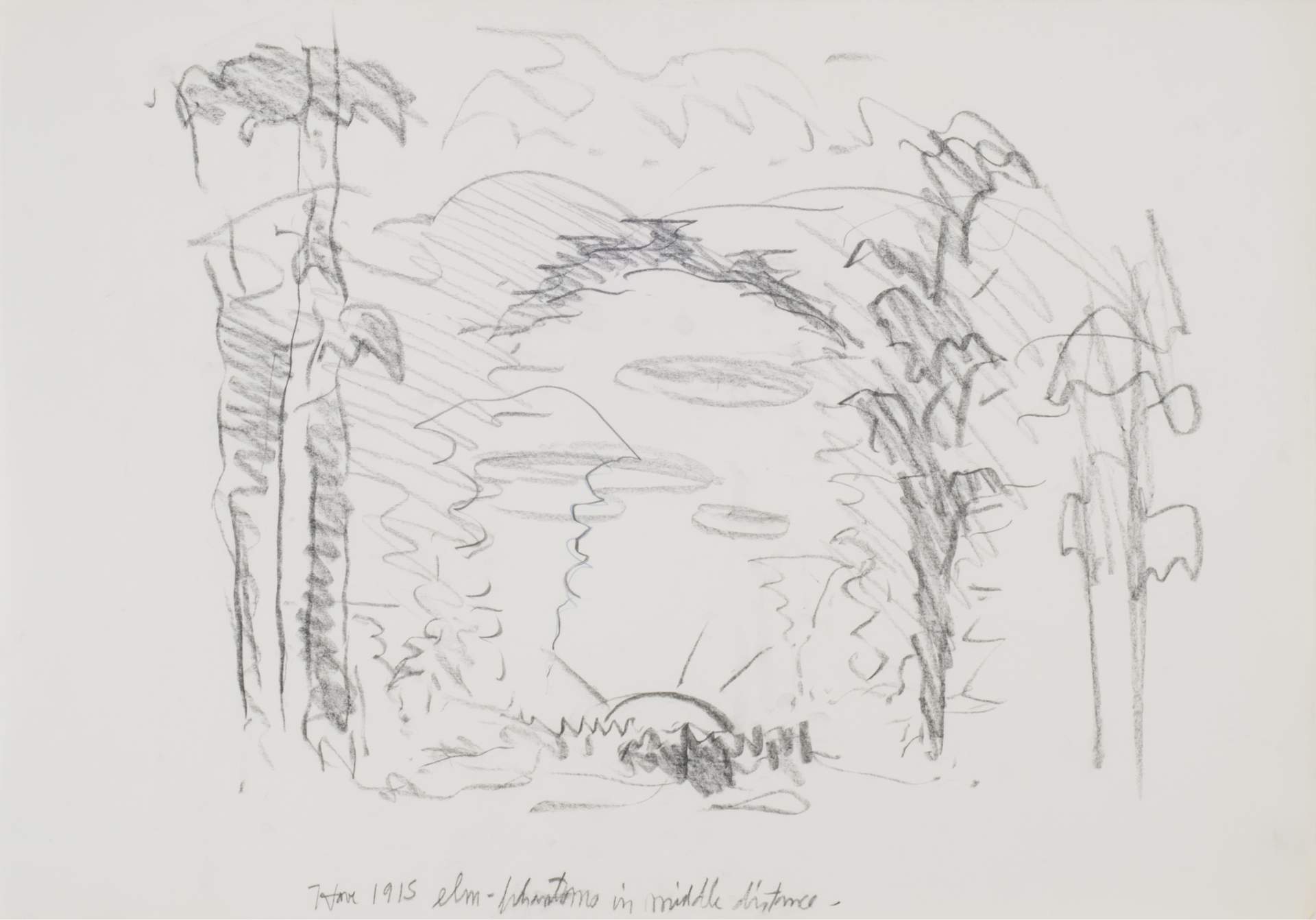 Untitled [sketch with notation: “Have 1915 elm-phantoms in middle distance –”]