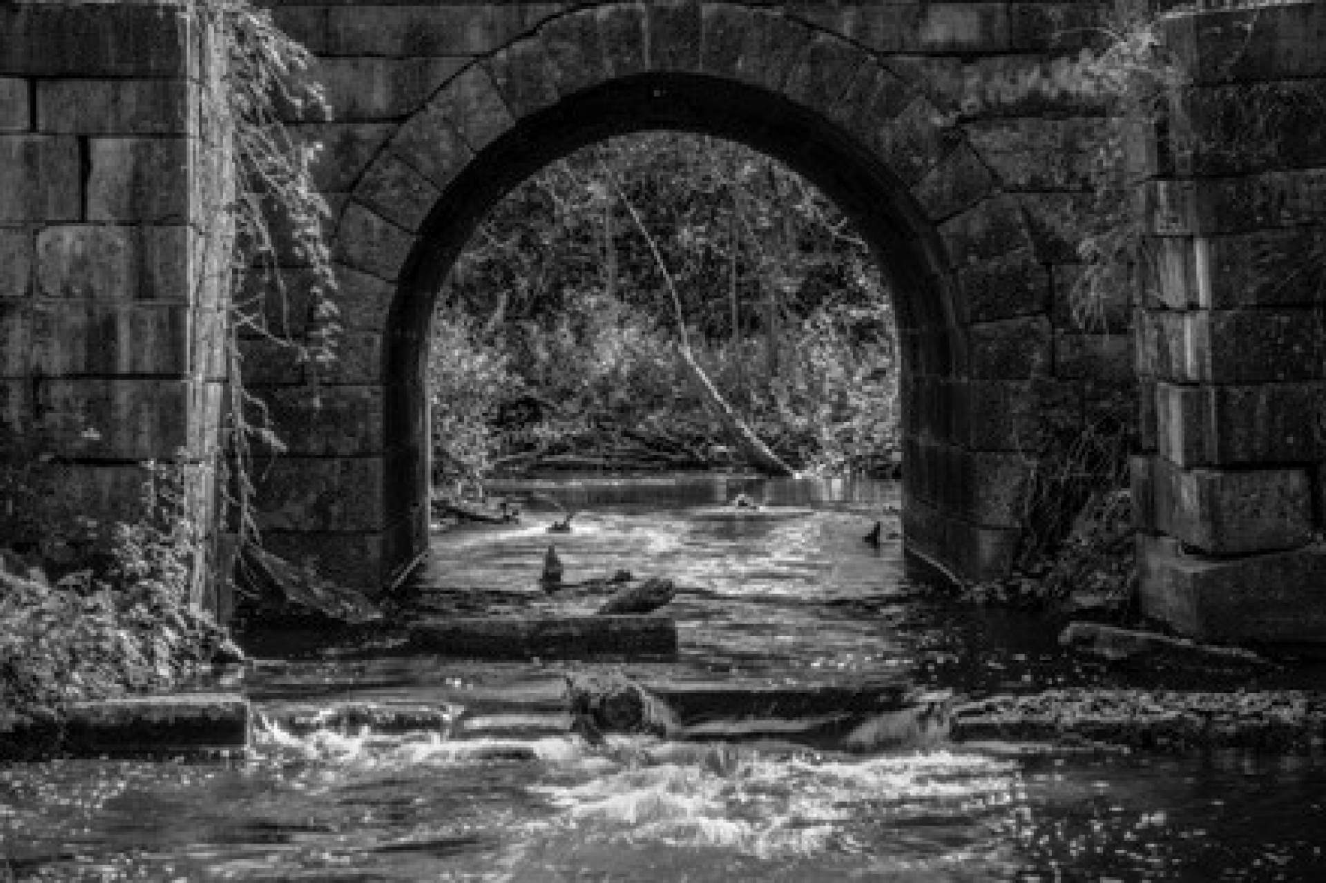 Aqueduct, NY