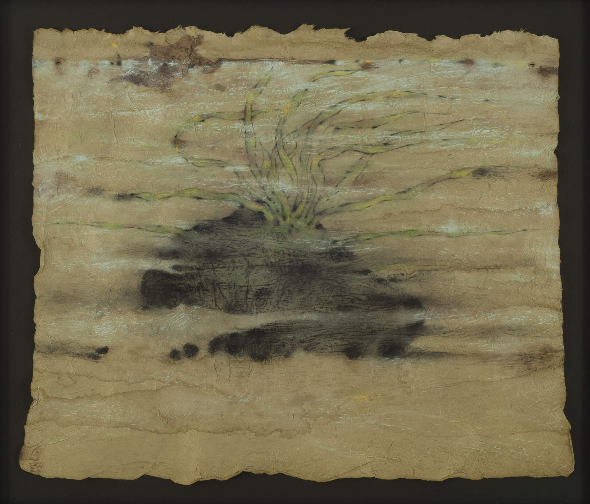 Remembering Priscilla Bowen in The Buffalo News