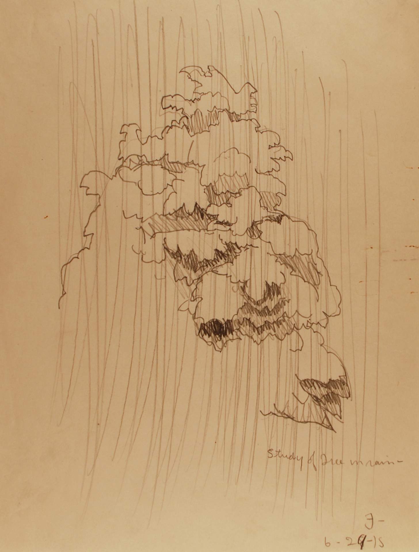 Study of tree in rain