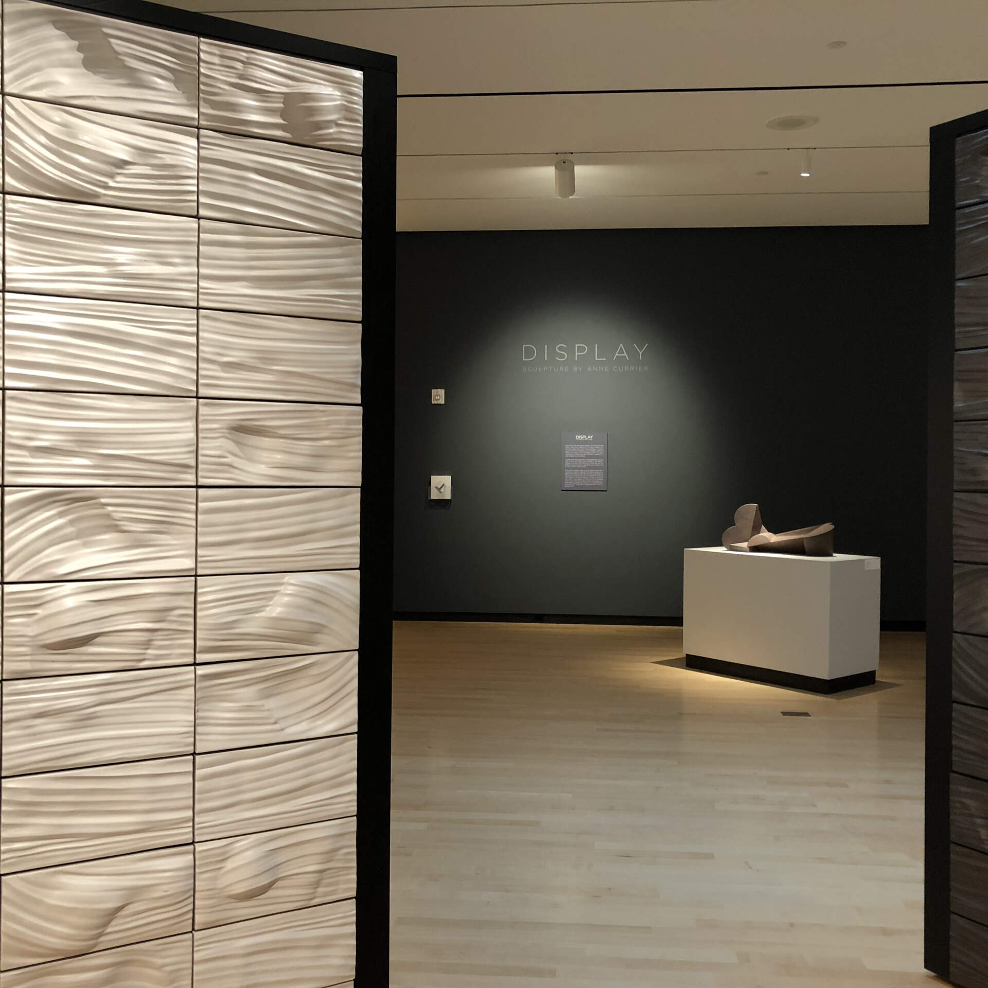 Display: Sculpture by Anne Currier