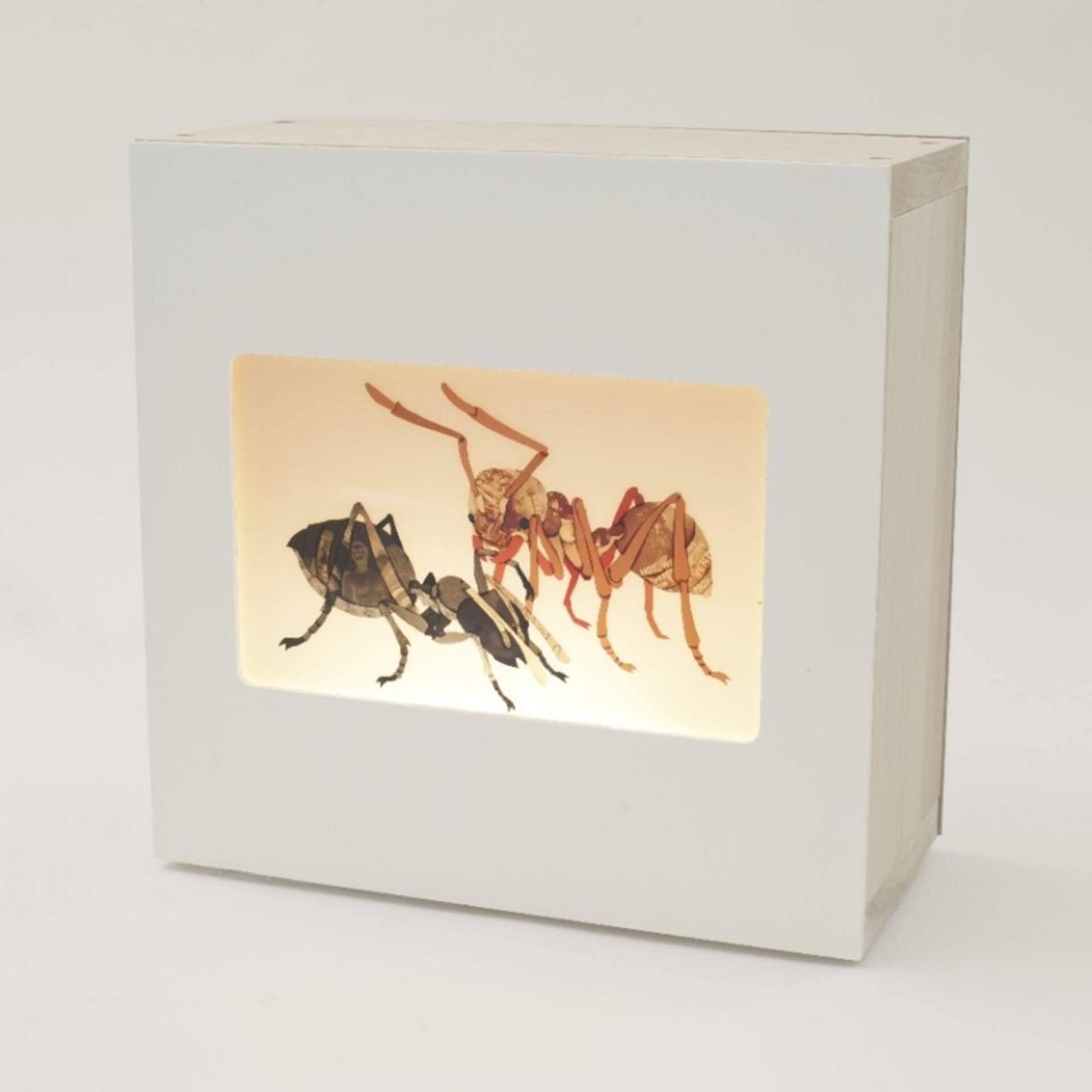 Specimens of Light