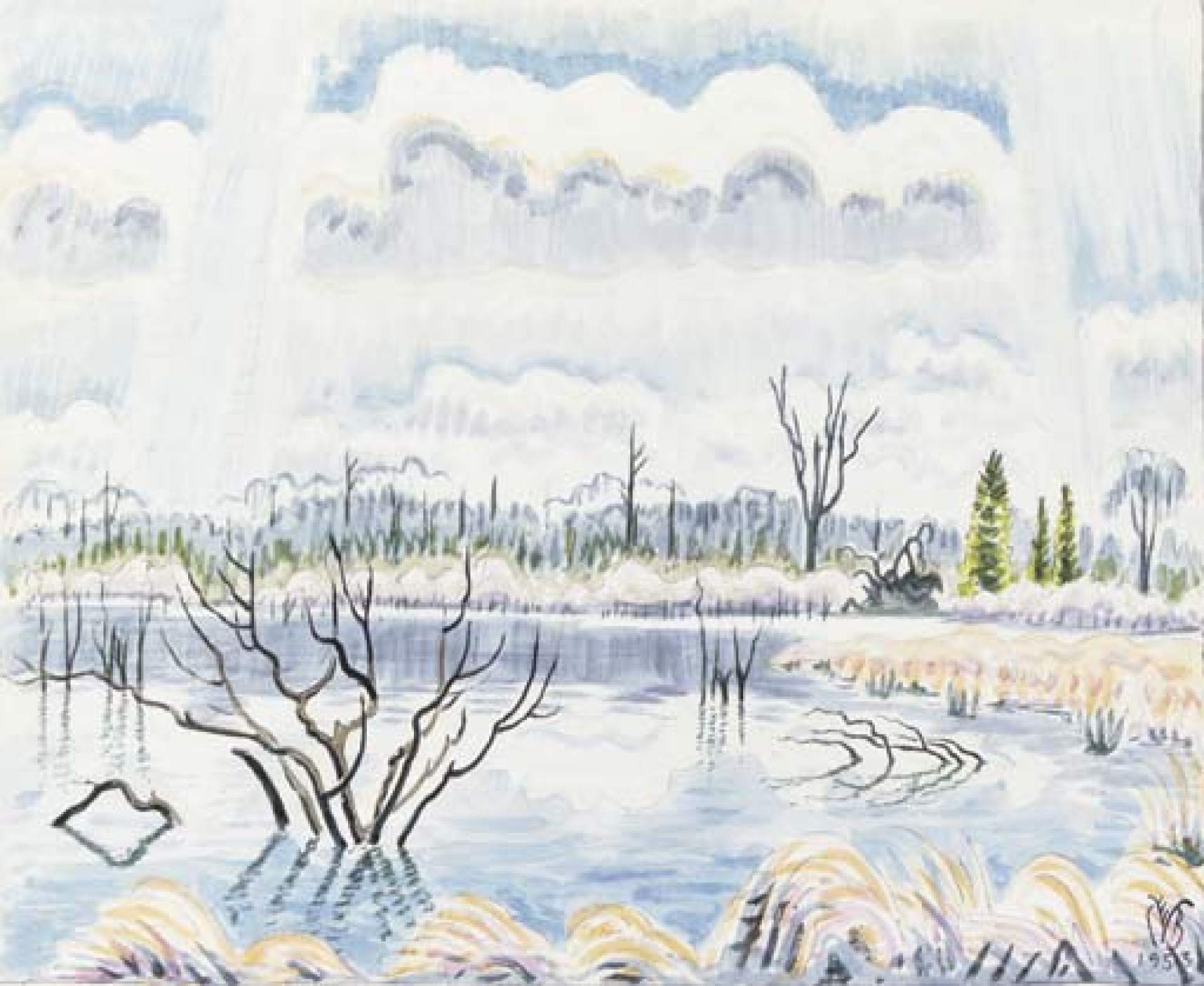 Beaver Pond in Spring (Spring Landscape)