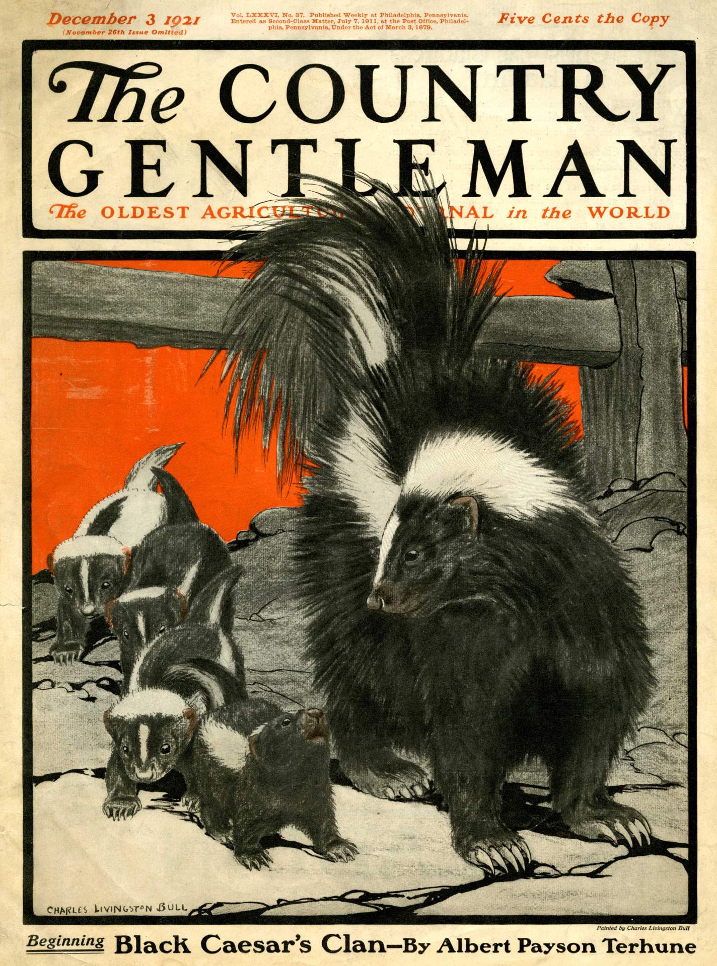 Cover Illustration for The Country Gentleman