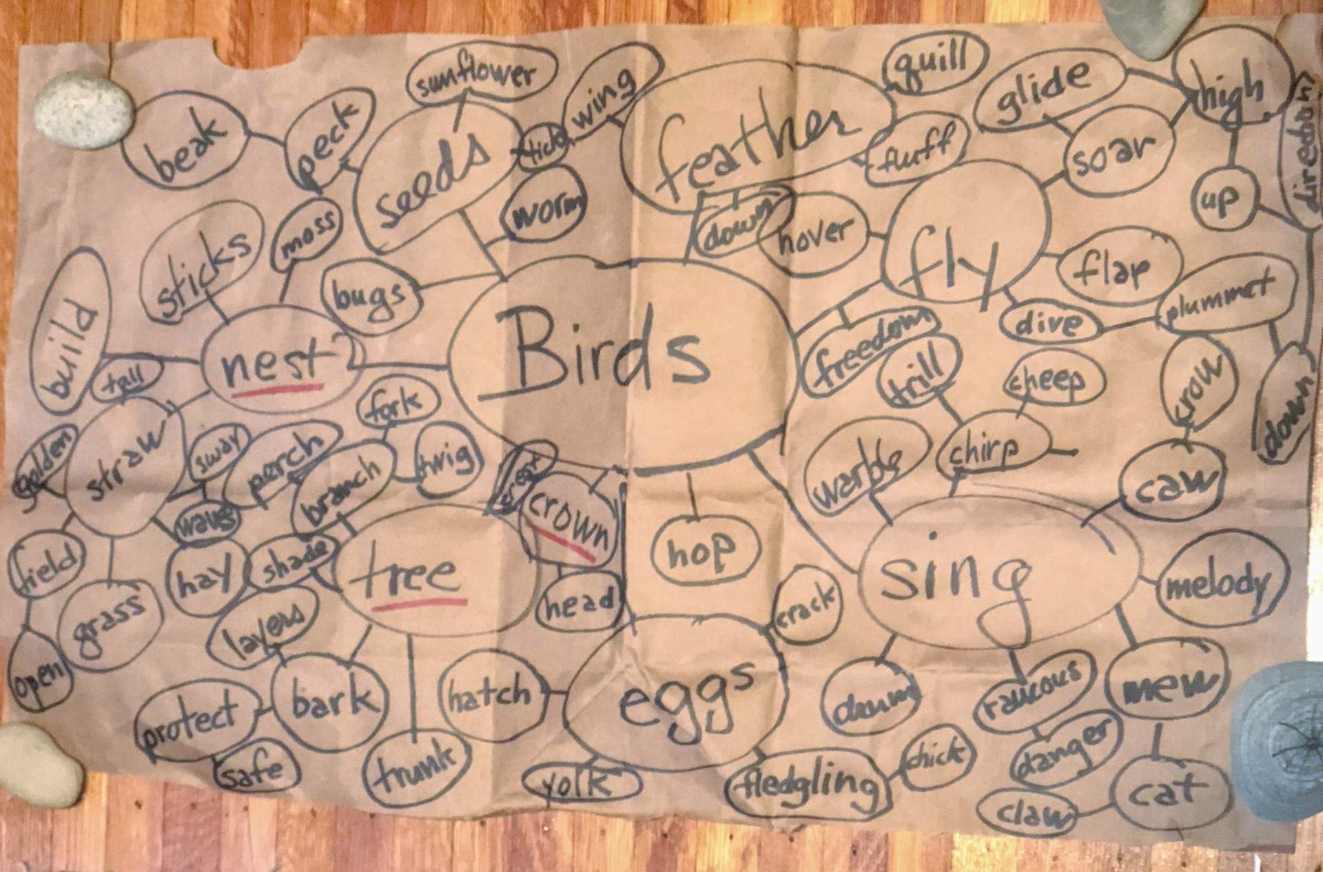 Bird Word Map