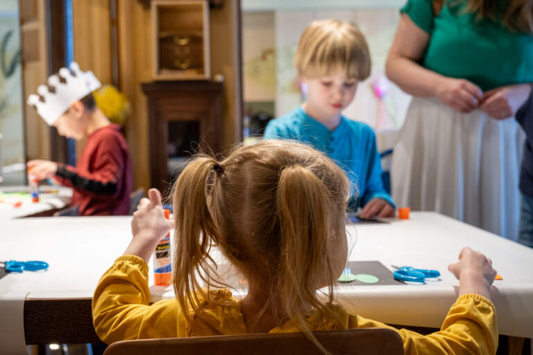 Birthday Party Rentals