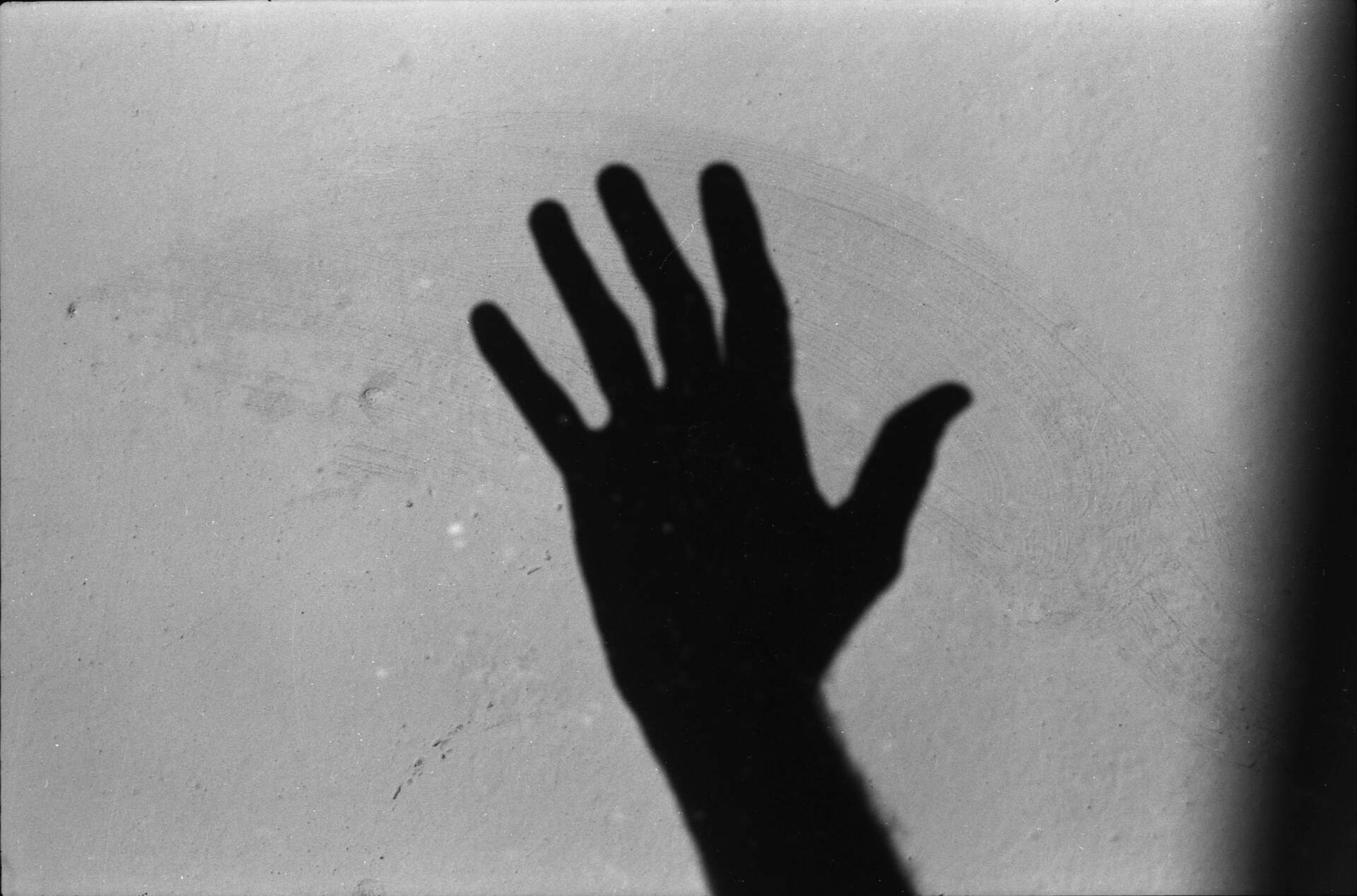 Merton & Lax: Image and Word