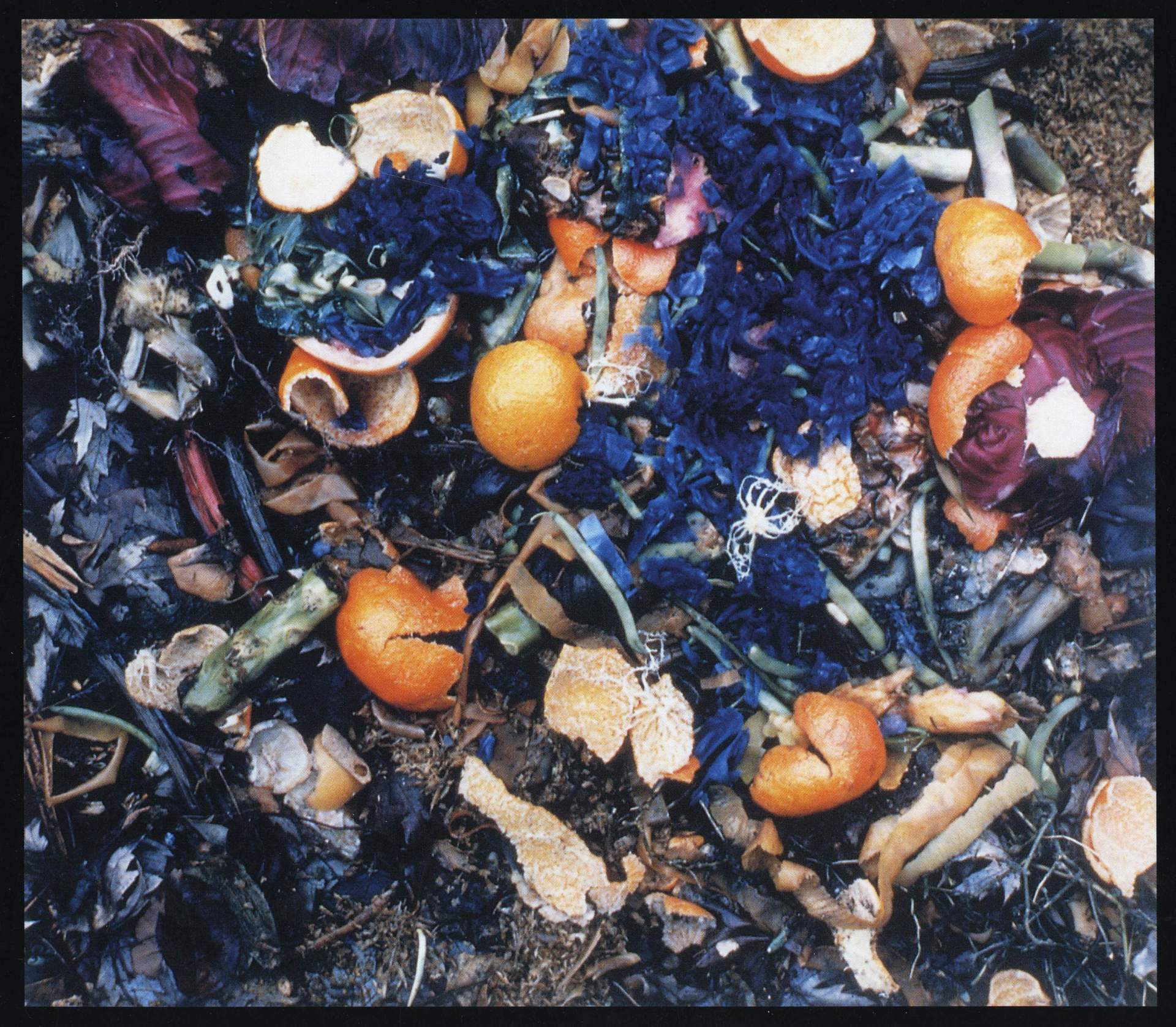 Image of "Compost Pile" (December 27, 1992), Ektacolor photograph by John Pfahl on flyer for "Decompositions" (2000) exhibition.