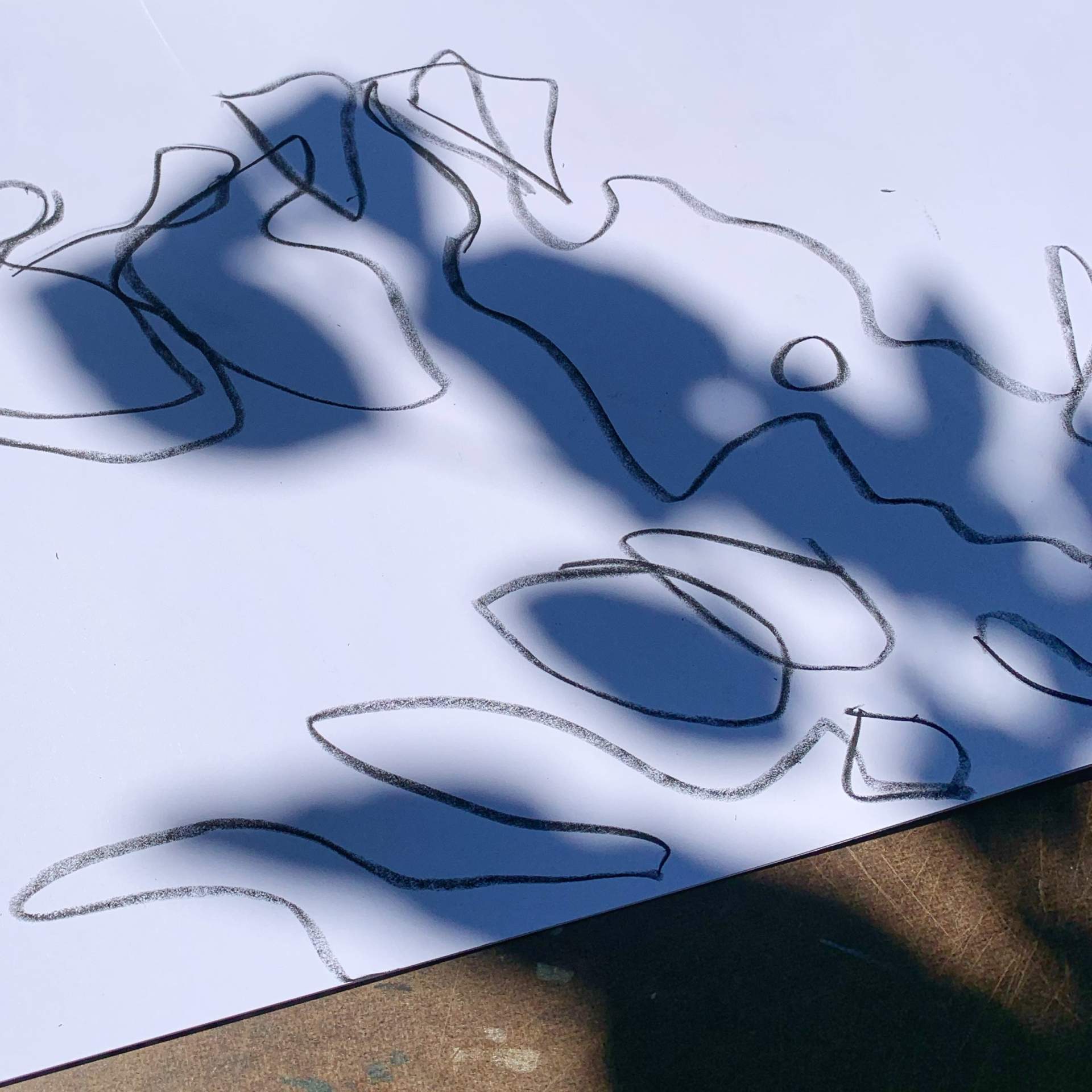 At-Home Art Activities: Shadow Drawing