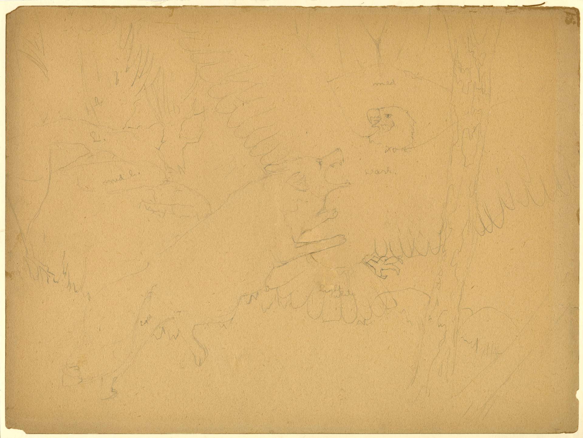 Drawings of Fables [The Eagle and the Fox]