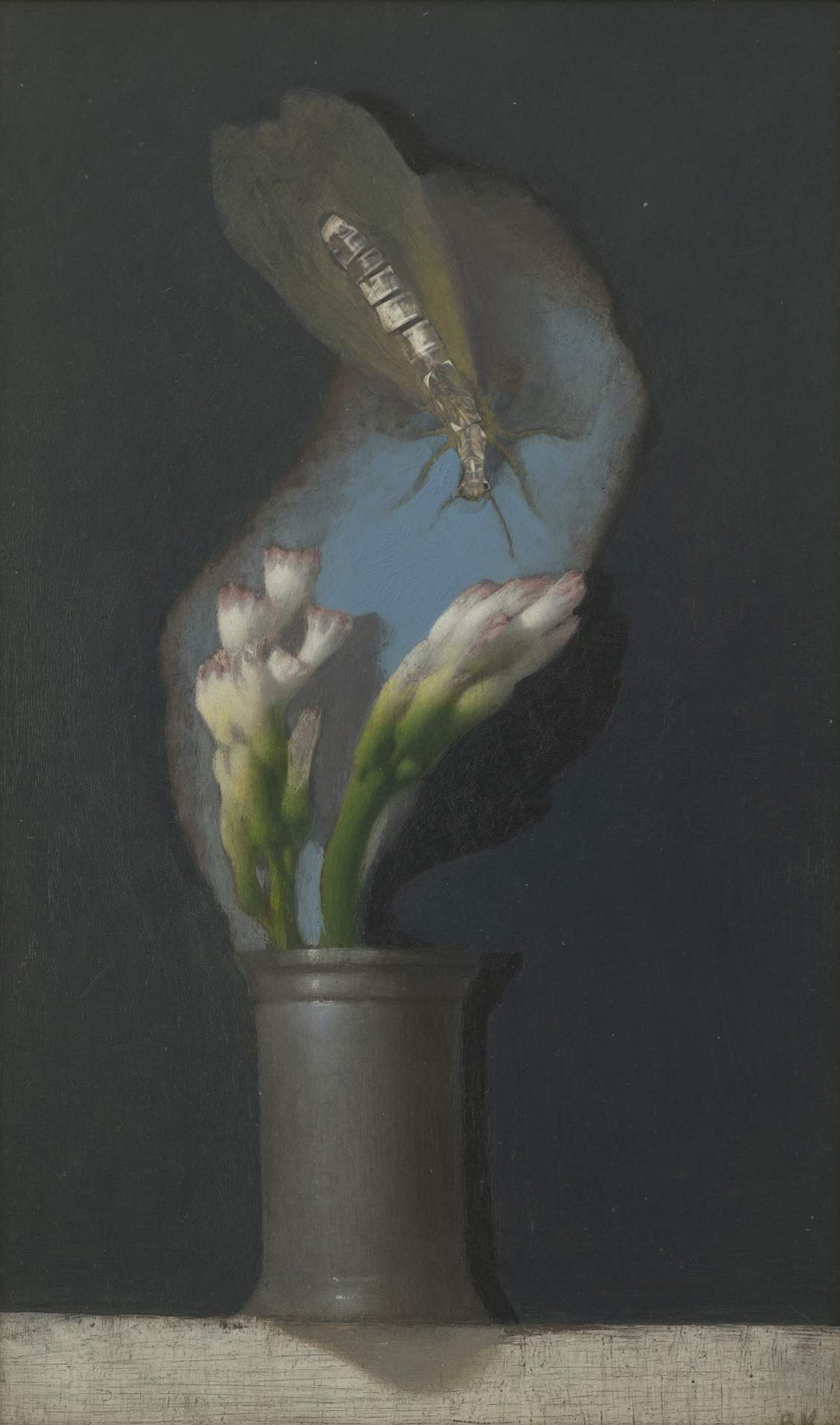 Hyacinths and Dobson Fly