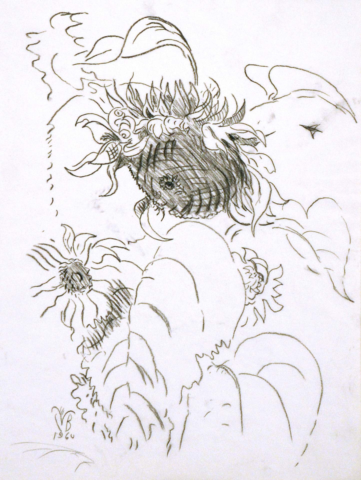 Untitled [sunflowers]