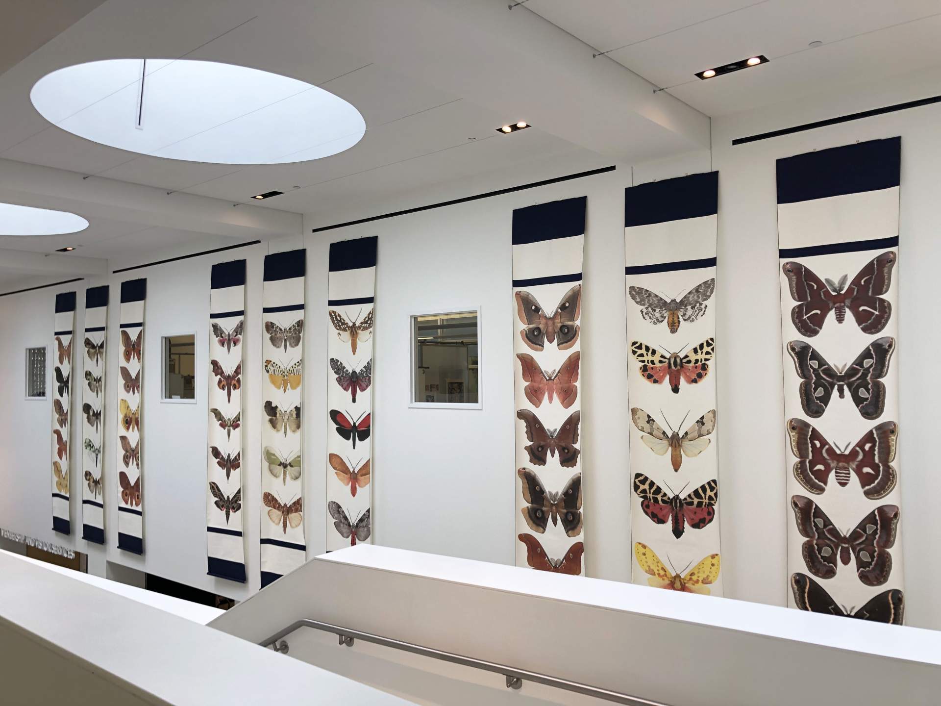 [Photograph of the installation by Joseph Scheer entitled "Moth Scrolls"]