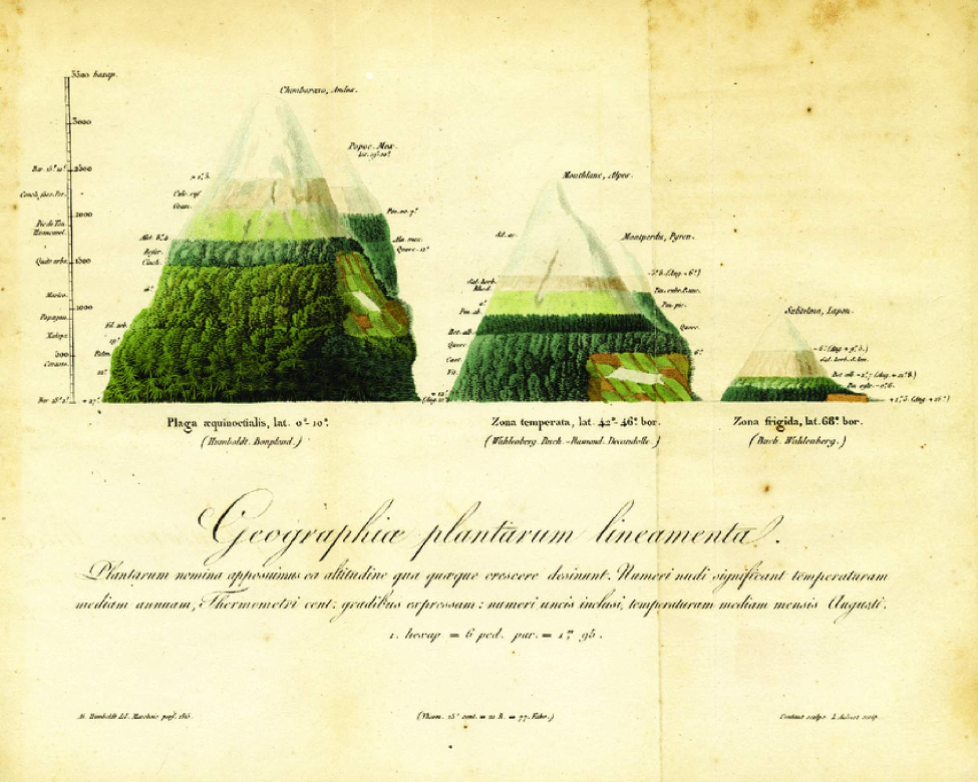 “Lines of the geography of plants,” from On the Distribution of Plants by Alexander von Humboldt, 1817
