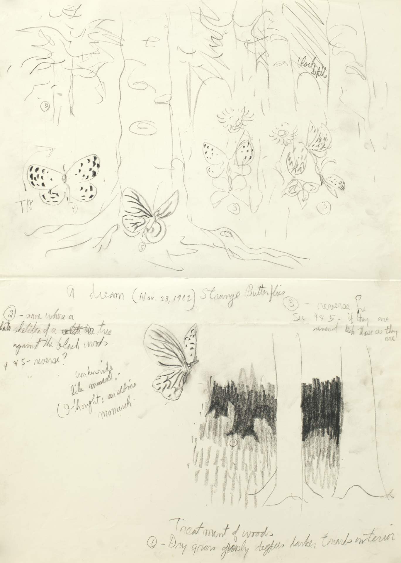 Untitled (A Dream (Nov. 23, 1962) Strange Butterflies)