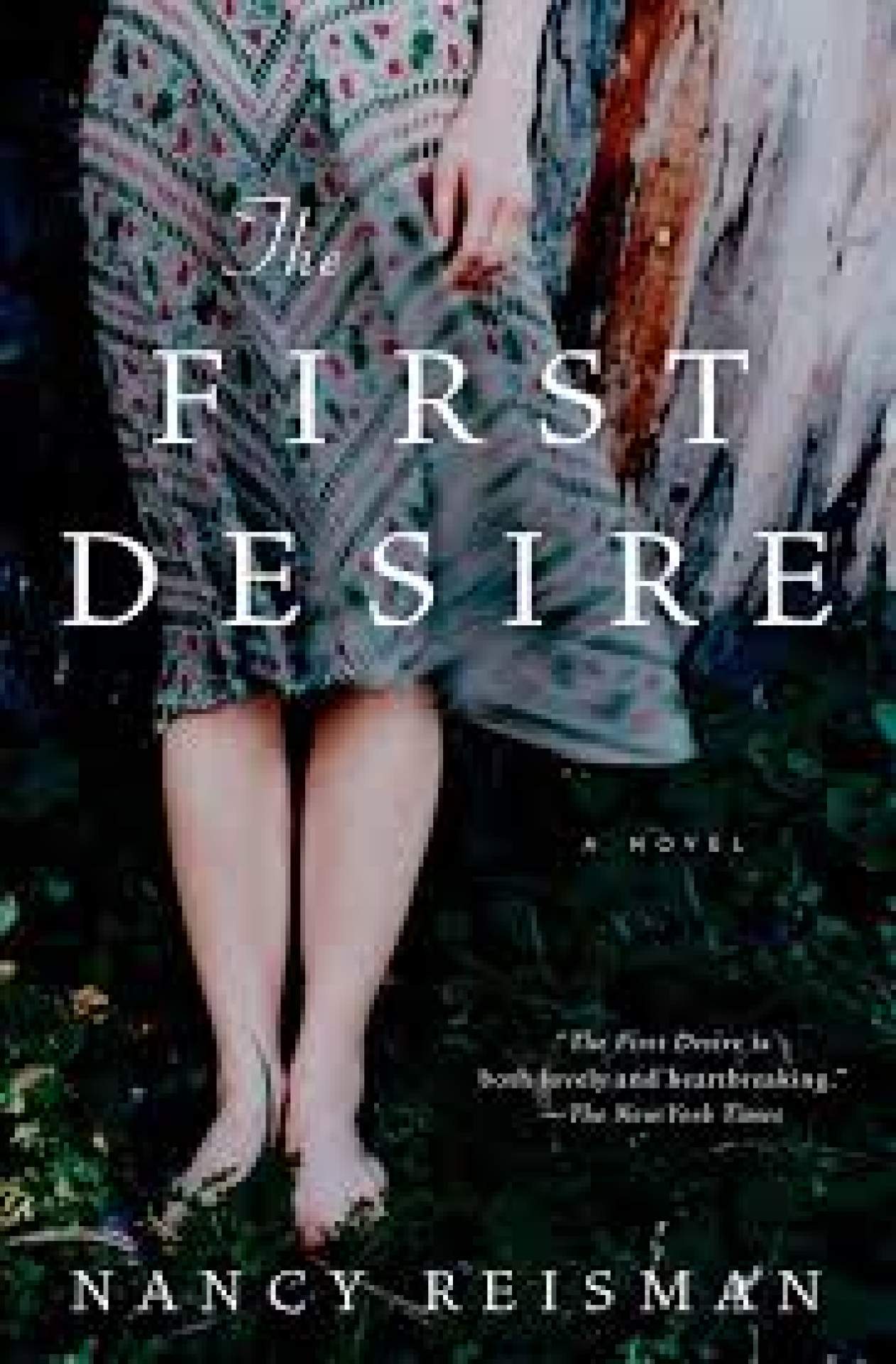 Burchfield Penney Book Club: <em>The First Desire</em> by Nancy Reisman