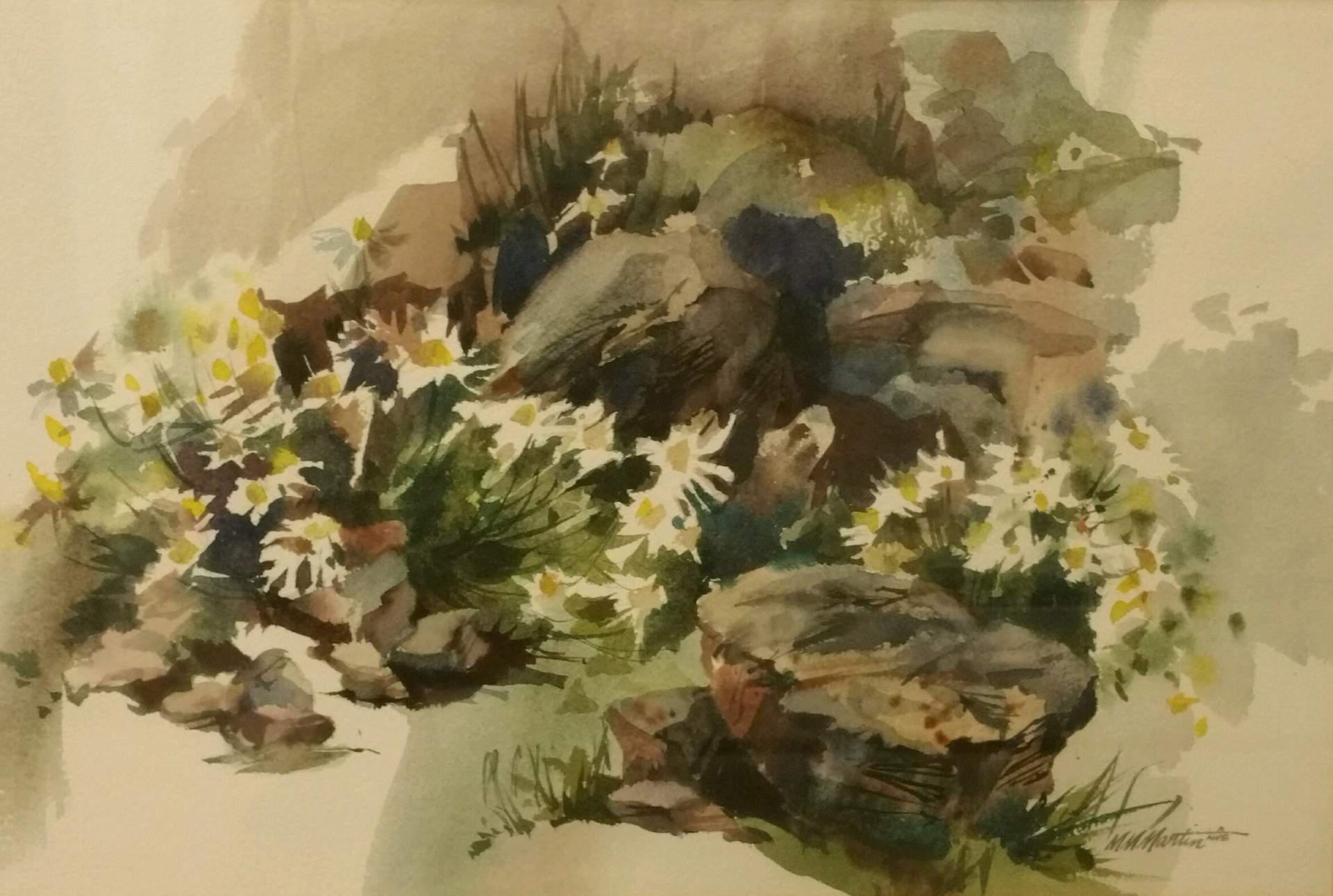 Untitled (rocks and daisies)