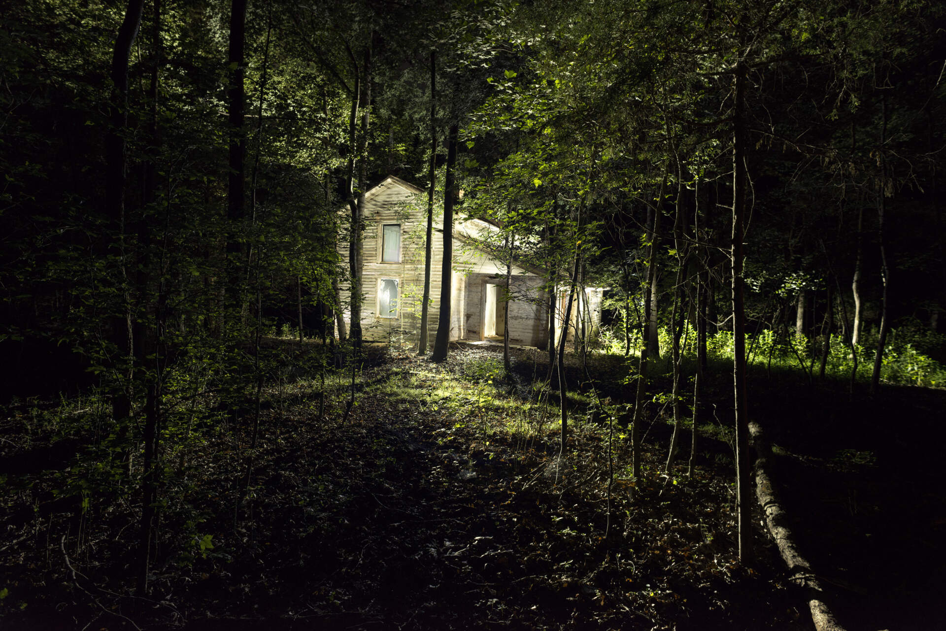 Michael Bosworth: The House Has Gone Down and the Lamps Are Out