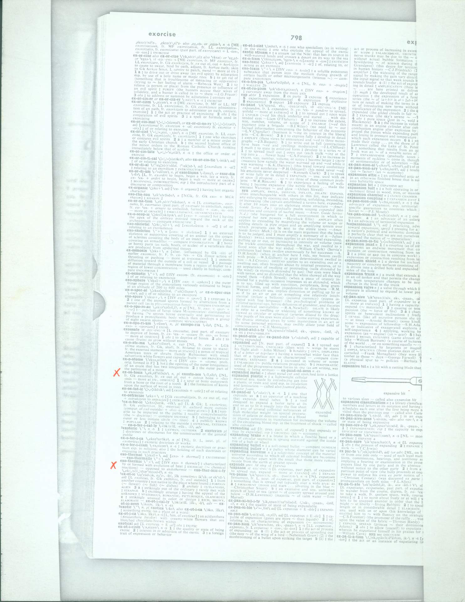 Untitled (photocopy from Webster's Dictionary)