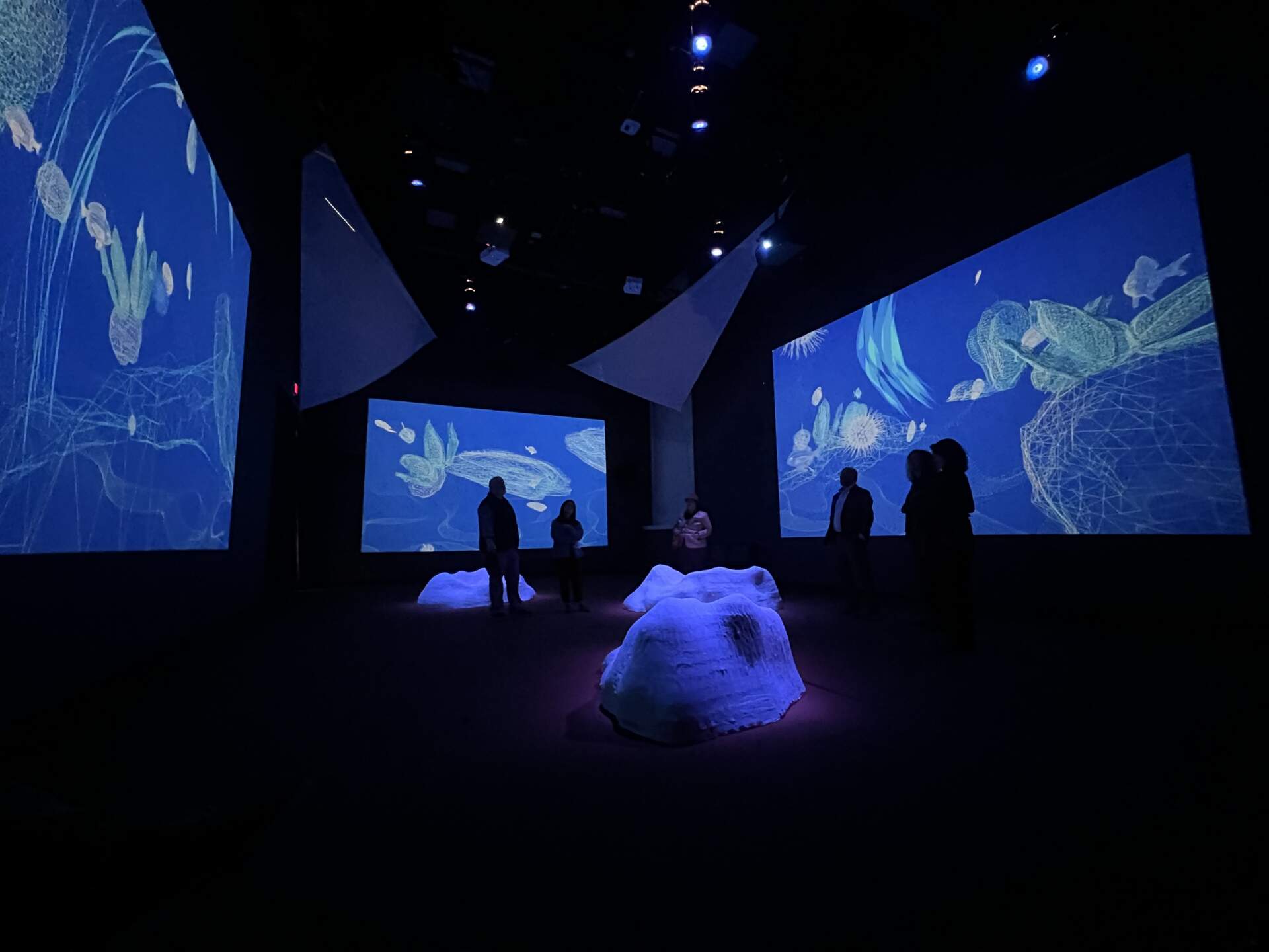 Serenades for Settling (Tending Ostreidae)