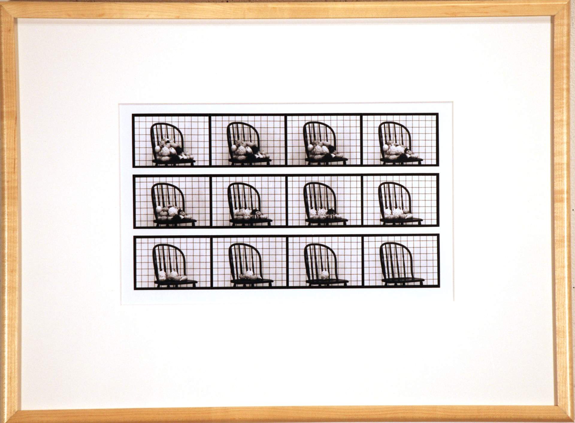 14. Gourds Vanishing, [var. Mixed Ornamental] from the series Sixteen Studies for Vegetable Locomotion
