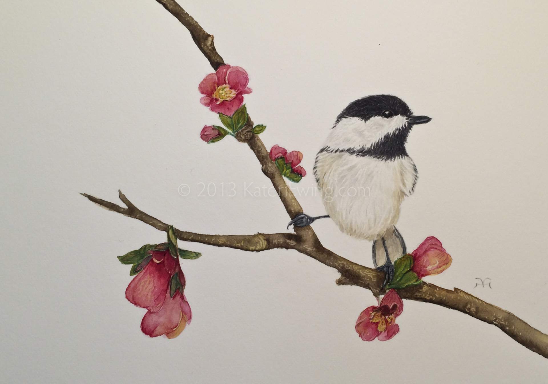 Painting a Chickadee in Watercolour