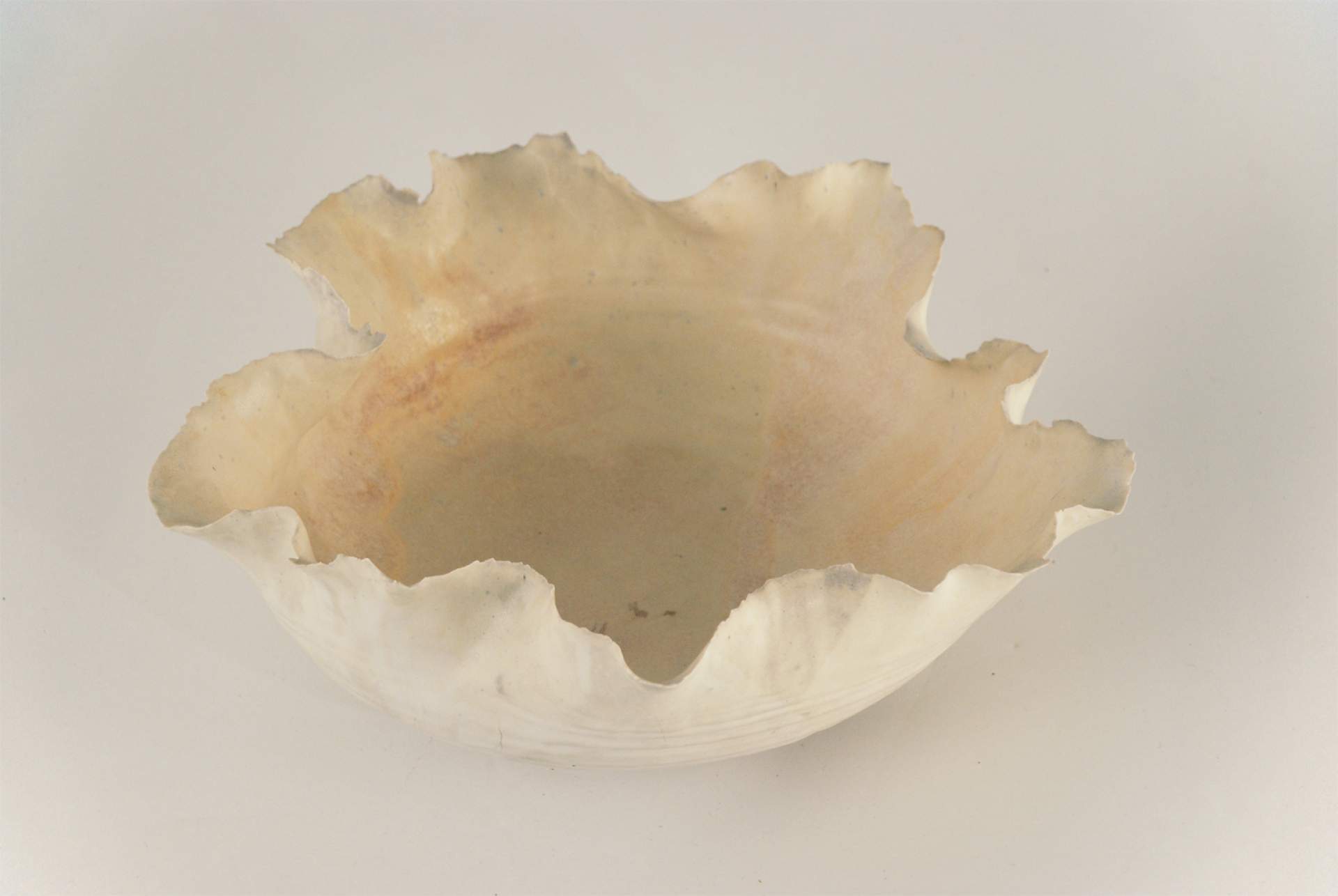 Fluted Bowl II