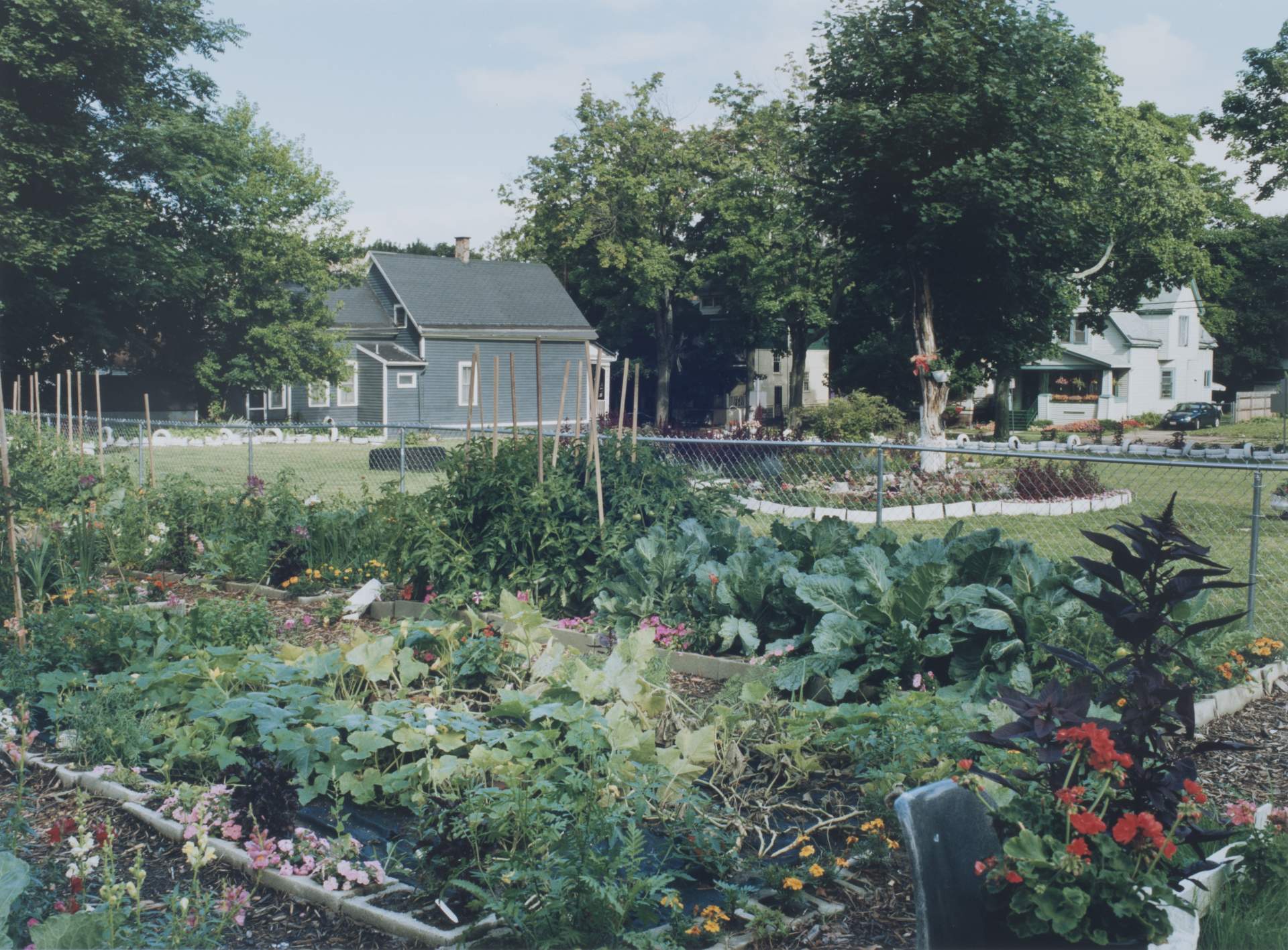 C. A. I. C. Community garden, Wohlers Ave & Northampton St, Buffalo NY