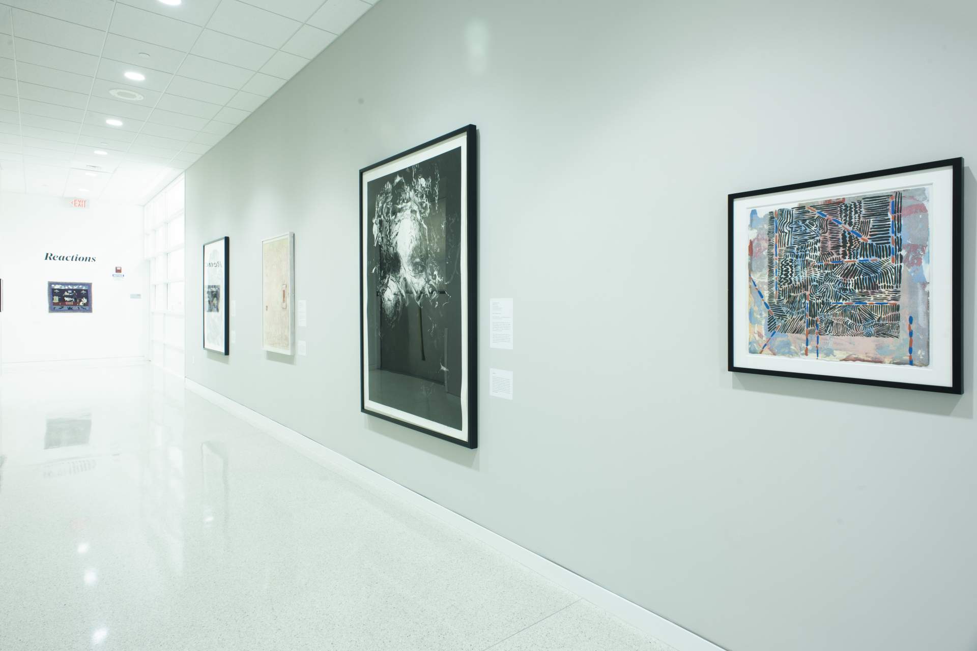 Installation View of Reactions