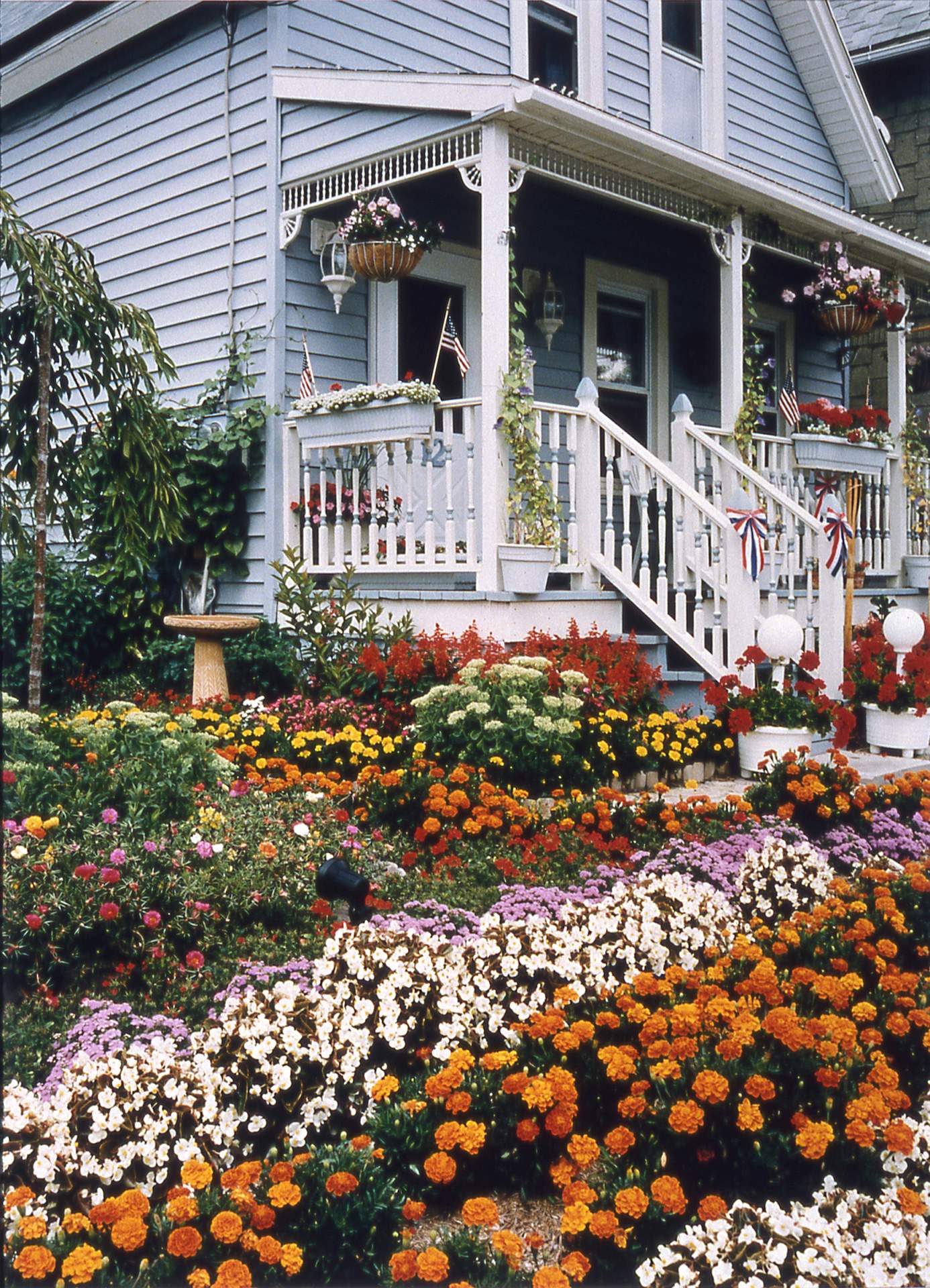 Barbara Null’s garden, Fillmore District Residential First Prize, ‘Buffalo in Bloom’ contest, Buffalo NY
