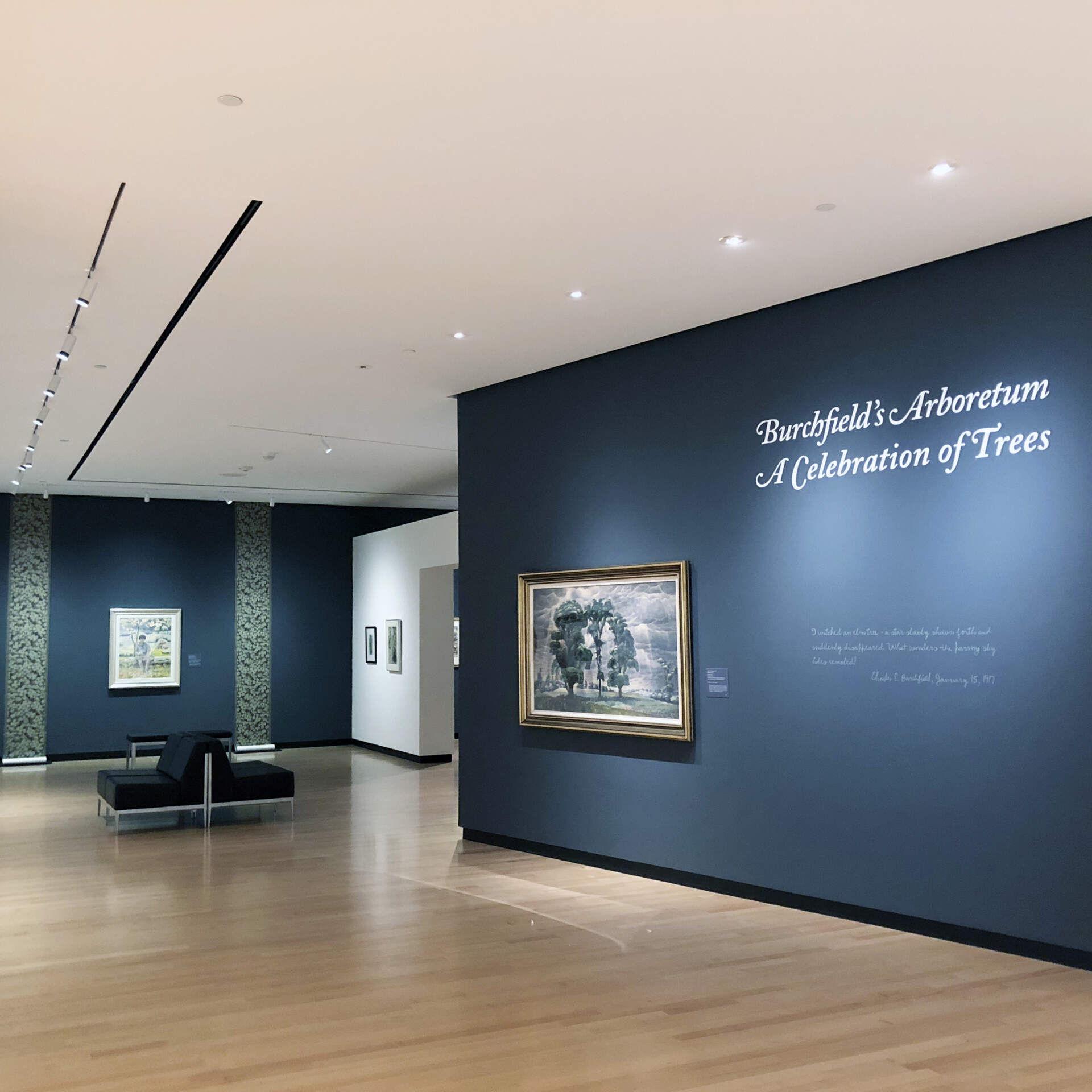 Burchfield's Arboretum: A Celebration of Trees