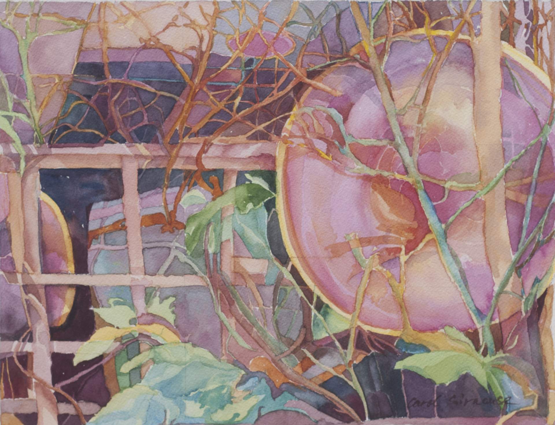 My Appreciation of Watercolor: A Personal View with Carol Case Siracuse