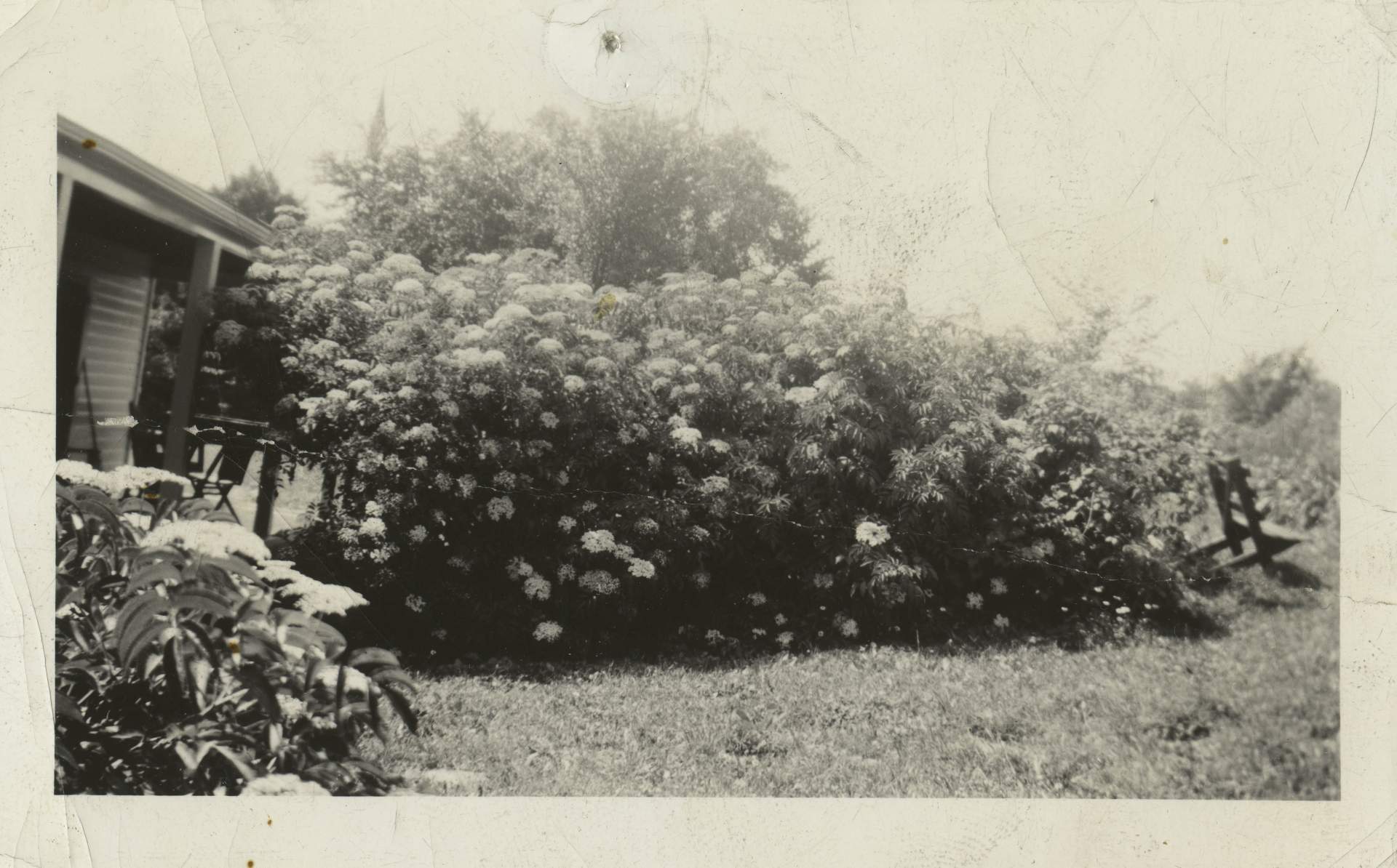Camp—Mathews Hall (Partial view of porch and flowering bushes)
